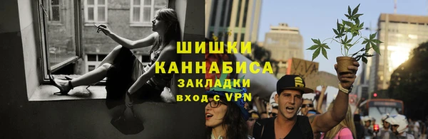 спиды Богородск
